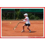 Strolchturnier 2014_33.jpg